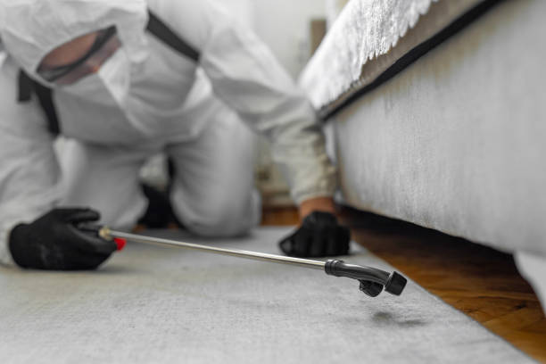 Professional Cockroach Control technician working in Woods Hole, MA