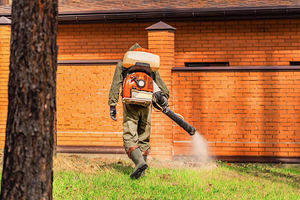 Trusted Termite Control service in Woods Hole, MA - Nex Pest Control